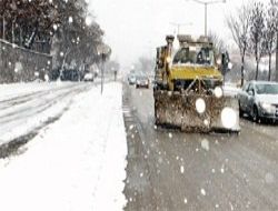 Yolları açıyor ama bitkileri öldürüyor