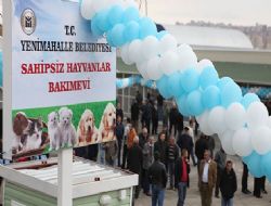 Sahipsiz hayvanlara sıcak yuva