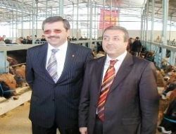 Hayvancılık Ankara da masaya yatırıldı