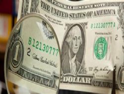 Dolar yükselişe geçti