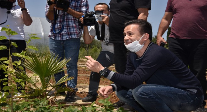 65 yaş üstü Tuzlalılardan, ihtiyaç sahiplerine organik sebze meyve şöleni