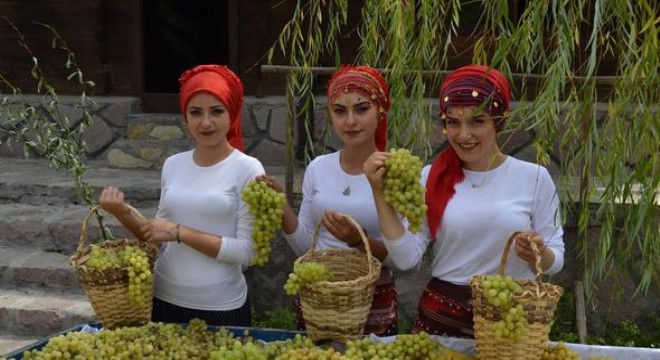 Altınköy’de bağ bozumu