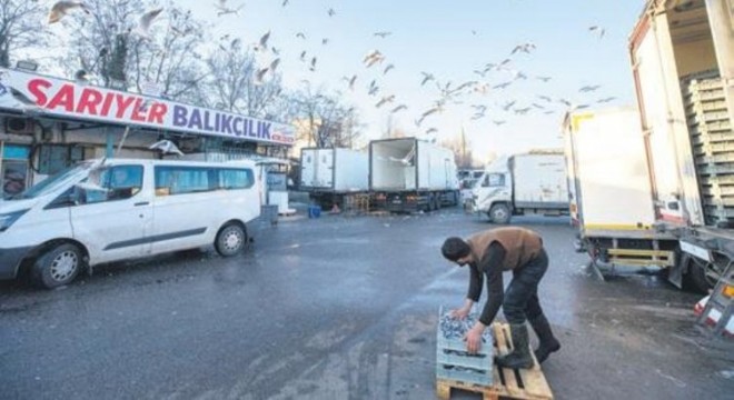 Ankara semalarında martı çığlıkları