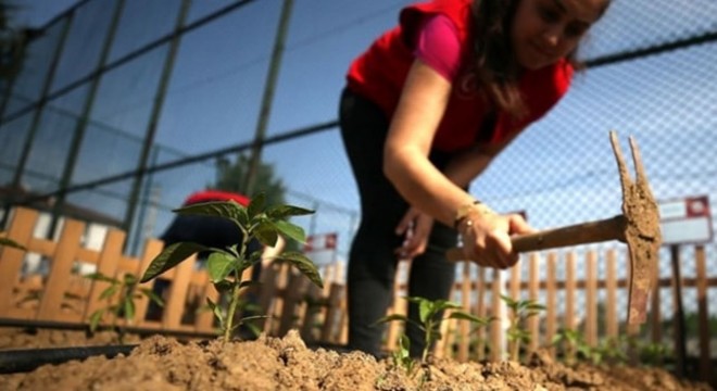 Bakan Pakdemirli: Yerli tohum üretiminde 2019 itibarıyla 1 milyon 130 bin tona geldik