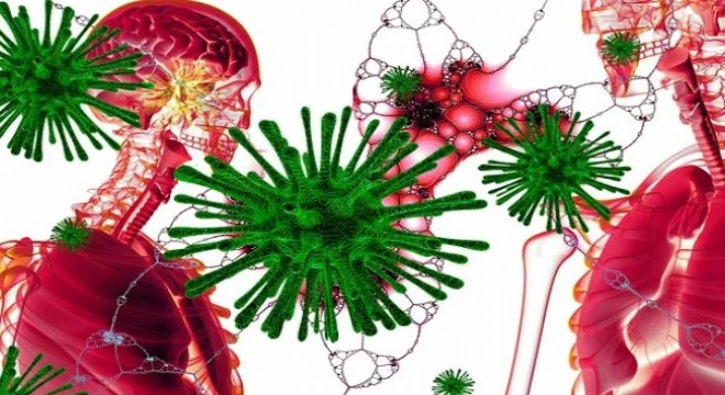 COVID-19 Fibroblast Esaslı Hücre Tedavisi