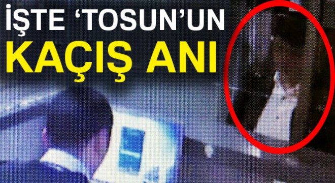 Çiftlik Bank CEO su Mehmet Aydın yurt dışına böyle kaçtı