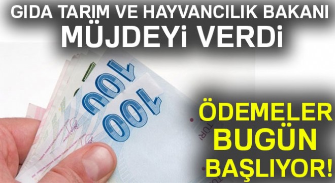 Gıda Tarım ve Hayvancılık Bakanı müjdeyi verdi! Ödemeler bugün başlıyor