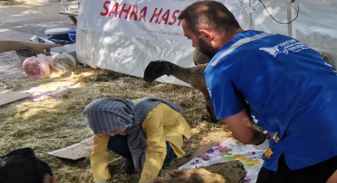 HAYTAP, Manavgat ve Marmaris’te ilk sahra yaşam hastanesini kurdu