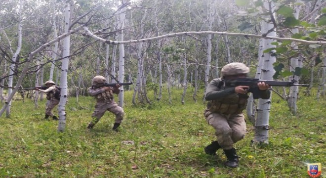 Hakkari de 8 terörist etkisiz hale getirildi