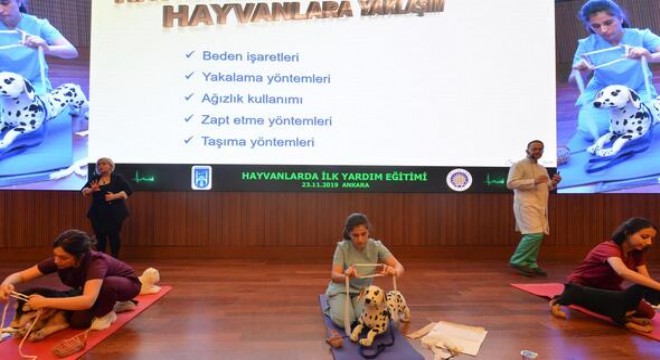 Hayvanseverlere ilk yardım eğitimi