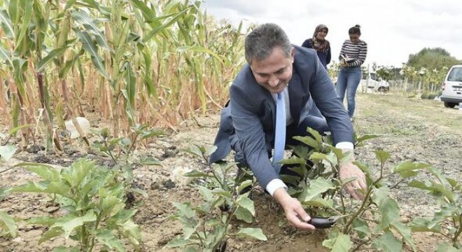 Hedef tarım merkezi olmak