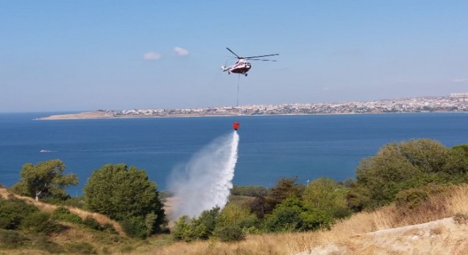 İstanbul, Gürpınar piknik alanında yangın