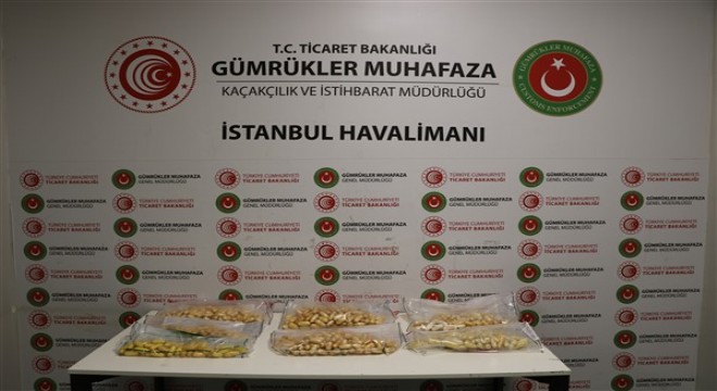 İstanbul Havalimanı’nda kokain yakalaması