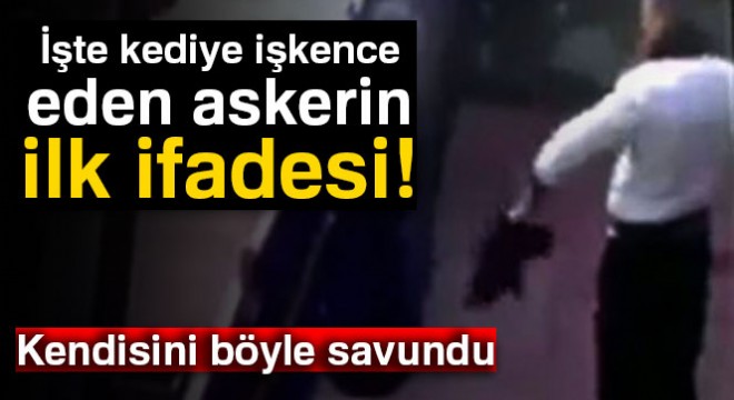 İşte kediye işkence eden askerin ilk ifadesi!