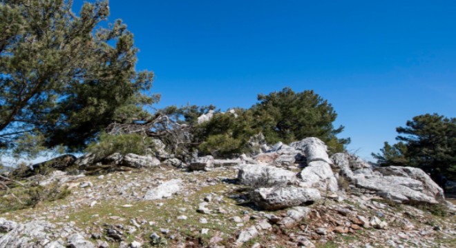 İzmir de antik taş ocağı bulundu