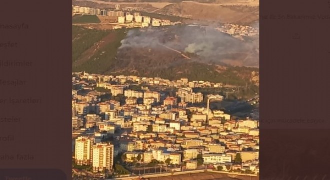 İzmir de orman yangını