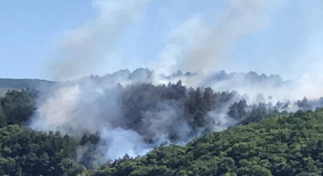 Kastamonu da orman yangını