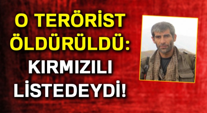 Kırmızı listedeki terörist öldürüldü