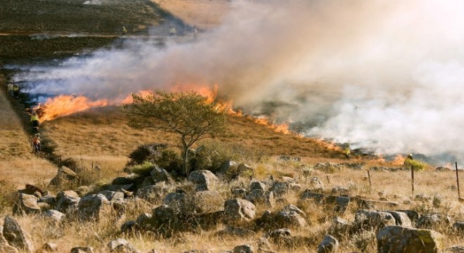Kütahya daki orman yangını