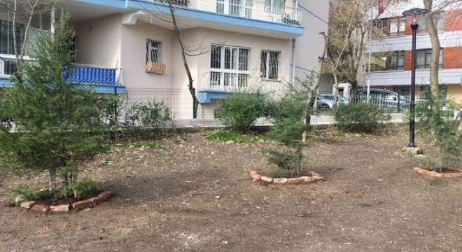 Özveren Parkı nda ağaç tedirginliği