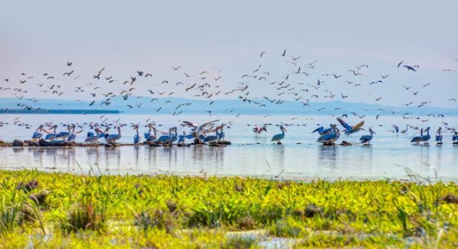 TEMA Vakfı’ndan Biyolojik Çeşitlilik Projesi