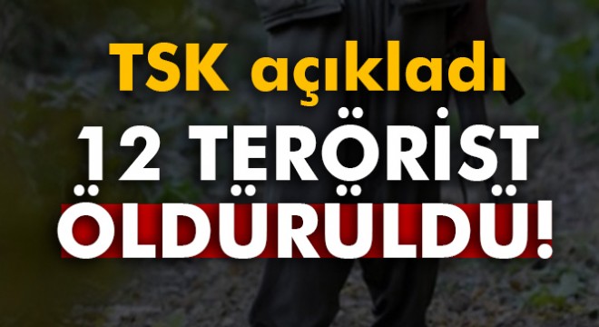 TSK:  12 terörist etkisiz hale getirildi 
