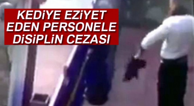 TSK:  Kediye eziyet eden personele disiplin cezası verildi 