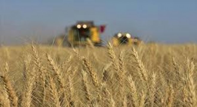 Tarım-GFE Ekimde Yıllık Yüzde 33,66 Arttı