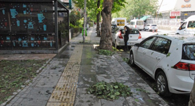 Tunalı’da çamur temizliği