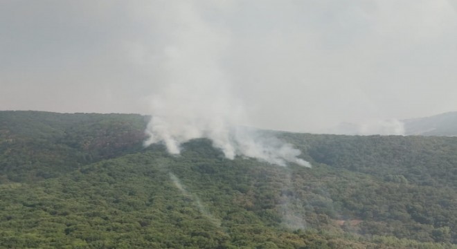 Tunceli’de 2 helikopter ve 1 uçakla yangına müdahale sürüyor