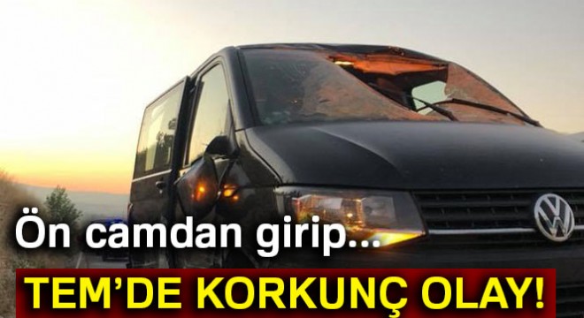 Yerinden çıkan tır lastiği minibüsün ön camından girip sürücüyü öldürdü