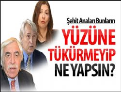 Şehit anneleri bu kadının yüzüne tükürmeyip ne yapsın?