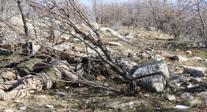 Şırnak ta 1 terörist etkisiz hale getirildi